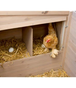 KERBL Hühnerstall Emma, Ca. B146/H85/T74 Cm -KERBL Store 1722214 WE D 004 KerblHuehnerstallEmma