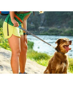 RUFFWEAR® Quick Draw™ Hunde-Schnellzugleine -KERBL Store 2083061 WE MO 002 RWHLQuickDrawGraniteGray