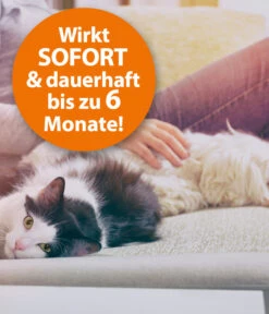 ARDAP® Ungeziefer-Vernebler Fogger, 200 Ml -KERBL Store 2204196 WE DE 002 ArdapZhbUngezieferVerneblerFogger200ml