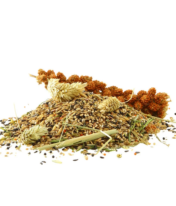 Dehner Best Nature Vogelfutter Kanarien 4 Dehner Best Nature Vogelfutter Kanarien – Bild 2