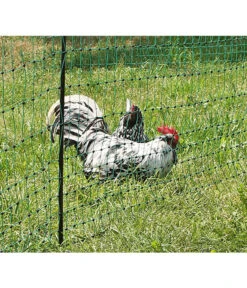 KERBL Geflügelnetz PoultryNet, Doppelspitze, Ca. 25 M -KERBL Store 2620540 WE FS 001 AlbertKerblGefluegelnetz25m