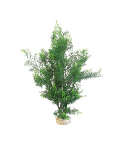 Sydeco Kit Kombi 4, Kunstpflanzen, 5 Stück -KERBL Store 2999084 WE D 001 SydecoKitKombi4