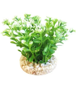 Sydeco Kit Kombi 4, Kunstpflanzen, 5 Stück -KERBL Store 2999084 WE D 005 SydecoKitKombi4