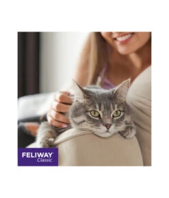 FELIWAY® Classic Nachfüllflakon, 3er Set -KERBL Store 3019957 WE M 001 neuCevaFeliwayClassicStarterSet