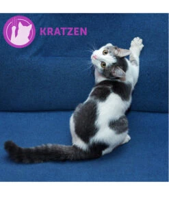 FELIWAY® Classic Nachfüllflakon, 3er Set -KERBL Store 3019957 WE M 002 neuCevaFeliwayClassicStarterSet 2