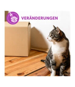 FELIWAY® Classic Nachfüllflakon, 3er Set -KERBL Store 3019957 WE M 003 neuCevaFeliwayClassicStarterSet 2