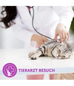 FELIWAY® Classic Verdampfer Start-Set -KERBL Store 3019957 WE M 005 CevaFeliwayClassicStarterSet