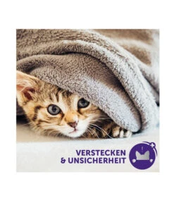 FELIWAY® Classic Nachfüllflakon, 3er Set -KERBL Store 3019957 WE M 005 neuCevaFeliwayClassicStarterSet 2