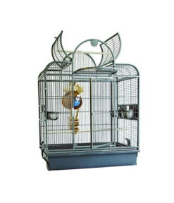 Montana Vogelheim San Remo III, Antik