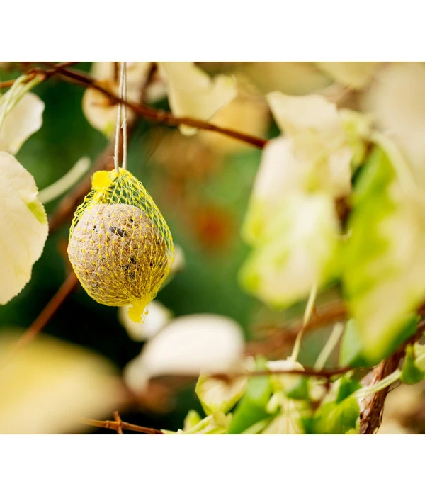 Dehner Natura Wildvogelfutter Meisen-Knödel, Mit Netz, 2 X 100 Stk. Je 100 G 4 Dehner Natura Wildvogelfutter Meisen-Knödel, Mit Netz, 2 X 100 Stk. Je 100 G – Bild 2