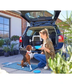 Dehner Lieblinge Transportbox Dino 10 Dehner Lieblinge Transportbox Dino -KERBL Store 3275252 PR MO 006 DehnerMarkenqualitaetKofferraumshootingGC10 4081303 3857257 2830487 2830479 4119541