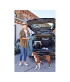 Dehner Lieblinge Transportbox Dino 9 Dehner Lieblinge Transportbox Dino -KERBL Store 3275252 PR MO 011 DehnerMarkenqualitaetKofferraumshootingGC10 4081303 3857257 2830487 2830479 4119541