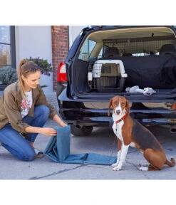 Dehner Lieblinge Transportbox Dino 11 Dehner Lieblinge Transportbox Dino -KERBL Store 3275252 PR MO 015 DehnerMarkenqualitaetKofferraumshootingGC10 4081303 3857257 2830487 2830479 4119541