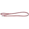 Das Lederband Hundeleine Olivvia Barcelona Indian-Red 2 Das Lederband Hundeleine Olivvia Barcelona Indian-Red -KERBL Store 4056602 WE FS 001 DasLederbandHundeleineBarcelonaIndianRed