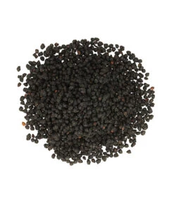 Dehner Natura Premium Ganzjahresfutter Holunderbeeren, 450 G -KERBL Store 4112876 PR DE 001 DehnerNaturaPremiumBeerensnackHolunderbeeren450g