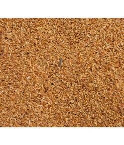 Dehner Kanariensaat, 1 Kg -KERBL Store 413609 BildD 001 DehnerQualitaetsfutterKanariensaatKanariensaat1Kg