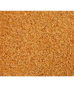 Dehner Senegalhirse, 1 Kg 7 Dehner Senegalhirse, 1 Kg -KERBL Store 415224 BildD 001 DehnerQualitaetsfutterSenegalhirseSenegalhirse1Kg