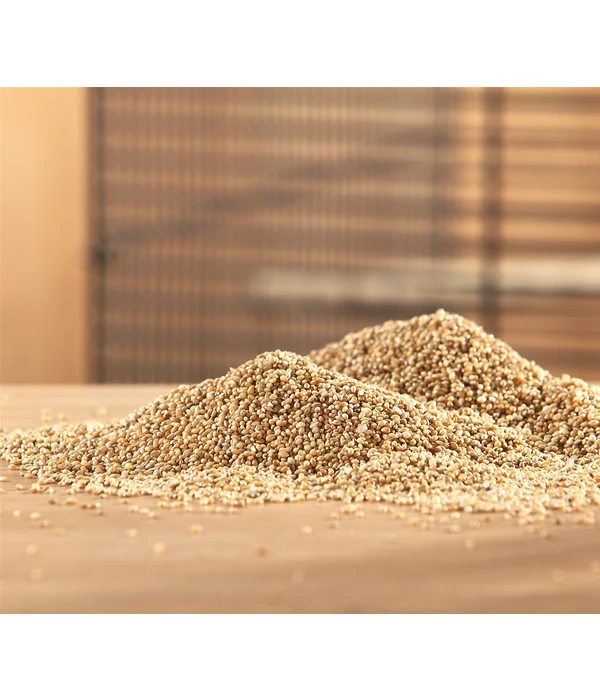 Dehner Senegalhirse, 1 Kg 4 Dehner Senegalhirse, 1 Kg – Bild 2