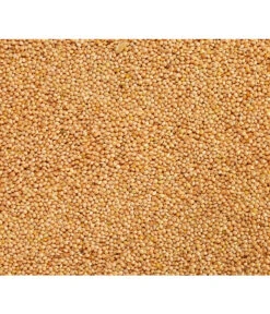 Dehner Silberhirse, 1 Kg -KERBL Store 415356 BildD 001 DehnerQualitaetsfutterSilberhirseSilberhirse1Kg