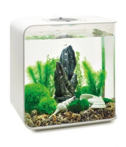 BiOrb® Aquariumdeko Decor Set 30 L Stone Garden -KERBL Store 4163812 WE M 004 BiOrbAquariumdekoDecorSet30LStoneGarden