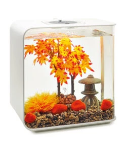 BiOrb® Aquariumdeko Decor Set 30 L Herbst -KERBL Store 4163879 WE M 005 BiOrbAquariumdekoDecorSet30LHerbst