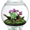BiOrb® Terrarium AIR 60 -KERBL Store 4168514 WE FS 01 BiOrbAquariumAir60Weiss