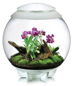 BiOrb® Terrarium AIR 60