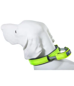 ArmoredTech® Hundehalsband Dog Control, Neongrün -KERBL Store 4202750 4203394 4204236 WE D 002 AmoredTechHundehalsbandDogControlNeonGruenM