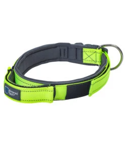 ArmoredTech® Hundehalsband Dog Control, Neongrün