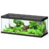 Dehner Aqua Premium Aquarium-Set ProLine 100, Schwarz, 160 L, Ca. B100/H40/T40 Cm -KERBL Store 4277224 WE FS 001 DehneAquaPremiumProLine100