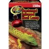ZooMed Terrariumbeleuchtung Nocturnal Infrared Heat Lamp 2 ZooMed Terrariumbeleuchtung Nocturnal Infrared Heat Lamp -KERBL Store 4464103 WE FS 001 ZooMedTerrariumbeleuchtungNocturnalInfraredHeatLamp150W