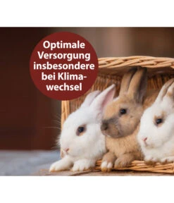 Quiko® Vitacombex® Na Multivitaminsaft Für Nager, 125 Ml -KERBL Store 5198106 WE MO 002 QuikoVFVitacombexNa125ml