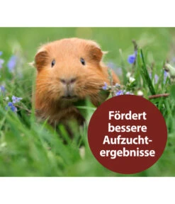 Quiko® Vitacombex® Na Multivitaminsaft Für Nager, 125 Ml -KERBL Store 5198106 WE MO 003 QuikoNFVitacombexNa125ml