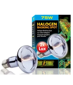 Exo Terra® Halogen Basking Spot