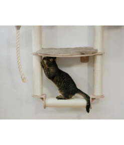 KERBL Wandkratzbaum Dolomit Grappa Pro, Beige, Ca. B70/H138/T66 Cm -KERBL Store 6603245 WE MO 002 KratzbaumDolomitGrappaPro