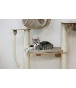 KERBL Wandkratzbaum Dolomit Grappa Pro, Beige, Ca. B70/H138/T66 Cm -KERBL Store 6603245 WE MO 003 KratzbaumDolomitGrappaPro