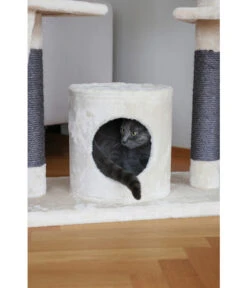 KERBL Kratzbaum Creativ Adventure, Beige, Ca. B140/H150/T50 Cm 13 KERBL Kratzbaum Creativ Adventure, Beige, Ca. B140/H150/T50 Cm -KERBL Store 6603278 WE MO 004 KratzbaumAdventure