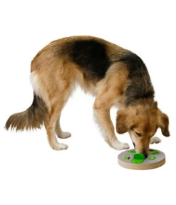 KERBL Hunde-Denk- & Lernspielzeug Face, Ca. Ø23/H4 Cm -KERBL Store 6603583 WE MO 001 LernspielzeugFace