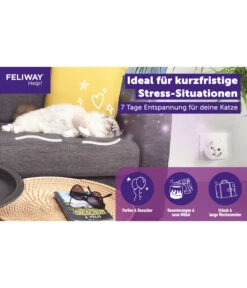 FELIWAY® Help Nachfüllkartusche, 3er Set -KERBL Store 6607535 WE DE 004 NEUCevaFeliwayHelpStarterSetNF
