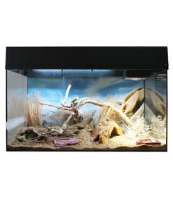 Lucky Reptile Starter Kit Komplettset Bartagame, Ca. B80/H52/T40 Cm 19 Lucky Reptile Starter Kit Komplettset Bartagame, Ca. B80/H52/T40 Cm -KERBL Store 6662266 WE FS 007 LuRepStarterKitBartagameSWN