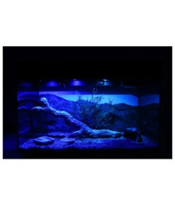 Lucky Reptile Starter Kit Komplettset Bartagame, Ca. B80/H52/T40 Cm 20 Lucky Reptile Starter Kit Komplettset Bartagame, Ca. B80/H52/T40 Cm -KERBL Store 6662266 WE FS 008 LuRepStarterKitBartagameSWN