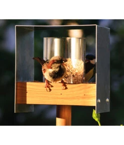 LUXUS-VOGELHAUS Futterhaus Bauhaus II, Braun/silber, Ca. B15/H16/T15 Cm 19 LUXUS-VOGELHAUS Futterhaus Bauhaus II, Braun/silber, Ca. B15/H16/T15 Cm -KERBL Store 6689244 WE MO 007 DobarVogelFutterhausAludachBauhausII