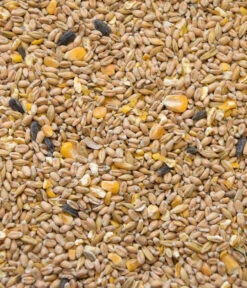 Dehner Best Nature Hühnerfutter Bio Hennenkorn 7 Dehner Best Nature Hühnerfutter Bio Hennenkorn -KERBL Store 6730253 WE D 001 BNHuehnerfutterHennenkorn2kg