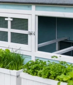 Dehner Hühnerstall Happy Farm Agata, Blau, Ca. B173,5/H149/T130,2 Cm -KERBL Store 6873392 WE DE 004 MQ Huehnerstallataisolierthellblau