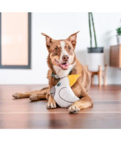 Red Dingo Hundespielzeug DURABLES Toys Kakadu -KERBL Store 6912430 WE MO 002 RedDingoSpzKakadu