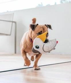 Red Dingo Hundespielzeug DURABLES Toys Kakadu -KERBL Store 6912430 WE MO 004 RedDingoSpzKakadu