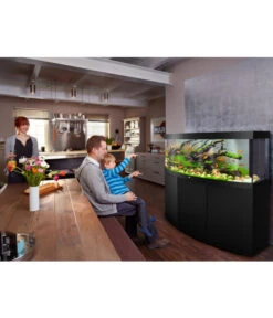 JUWEL® AQUARIUM Kombination Vision 450 LED, 450 L, Ca. B151/H144/T63 Cm -KERBL Store 6961858 WE MO 001 JuwelVision450schwarz