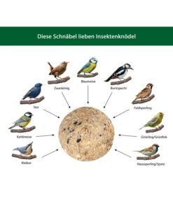 Dehner Natura Insekten-Knödel, Ohne Netz, 100 Stk. Je 100 G 14 Dehner Natura Insekten-Knödel, Ohne Netz, 100 Stk. Je 100 G -KERBL Store WE IG 001 DehnerNaturaWelcherVogelfrisstInsektenknoedel 1