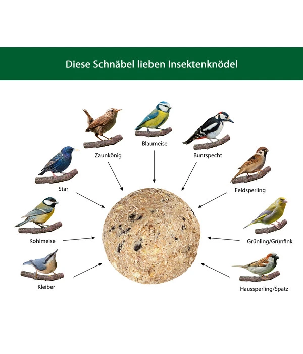 Dehner Natura Insekten-Knödel, Ohne Netz, 100 Stk. Je 100 G 8 Dehner Natura Insekten-Knödel, Ohne Netz, 100 Stk. Je 100 G – Bild 6