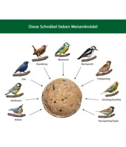 Dehner Natura Wildvogelfutter Meisen-Knödel, Mit Netz, 2 X 100 Stk. Je 100 G 13 Dehner Natura Wildvogelfutter Meisen-Knödel, Mit Netz, 2 X 100 Stk. Je 100 G -KERBL Store WE IG 001 DehnerNaturaWelcherVogelfrisstMeisenknoedel 2